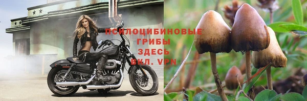 альфа пвп Касимов