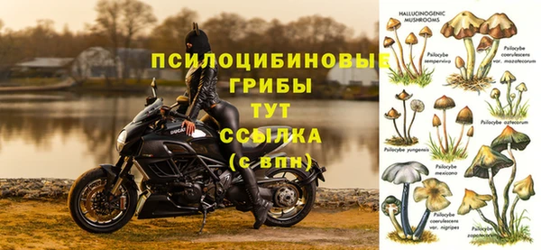 таблы Карпинск
