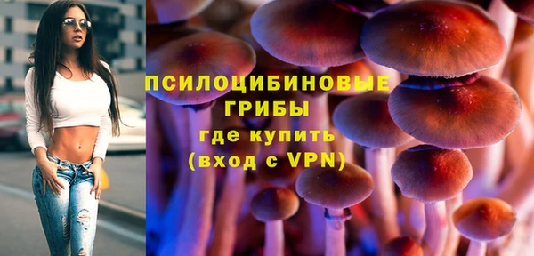 таблы Карпинск